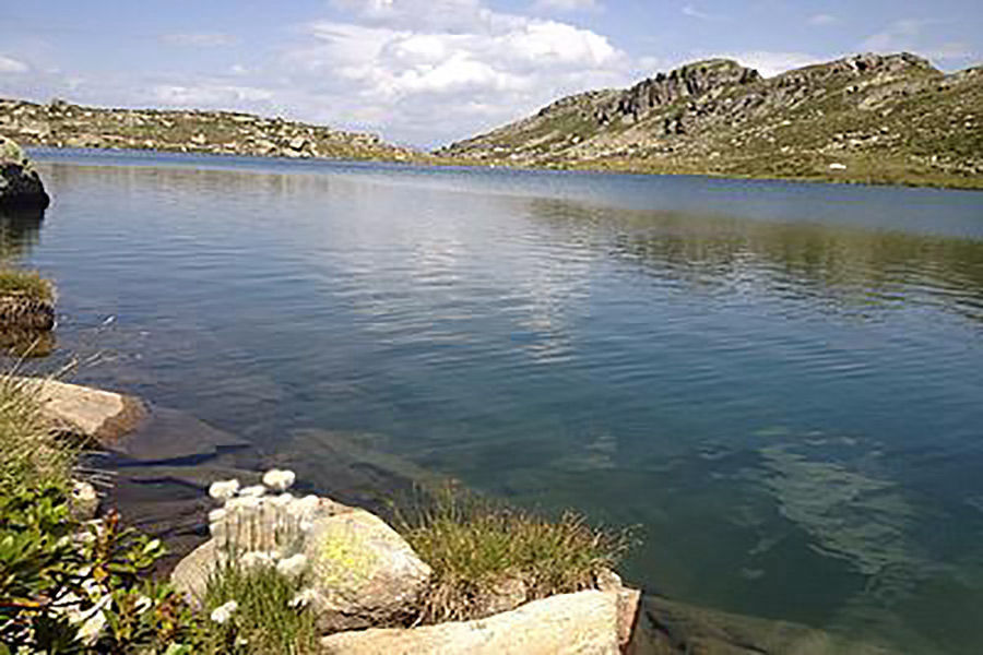 Lago